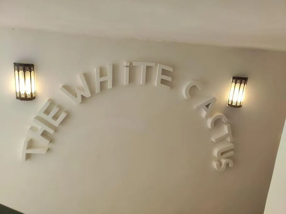 Villa Riad White Cactus Marraquexe